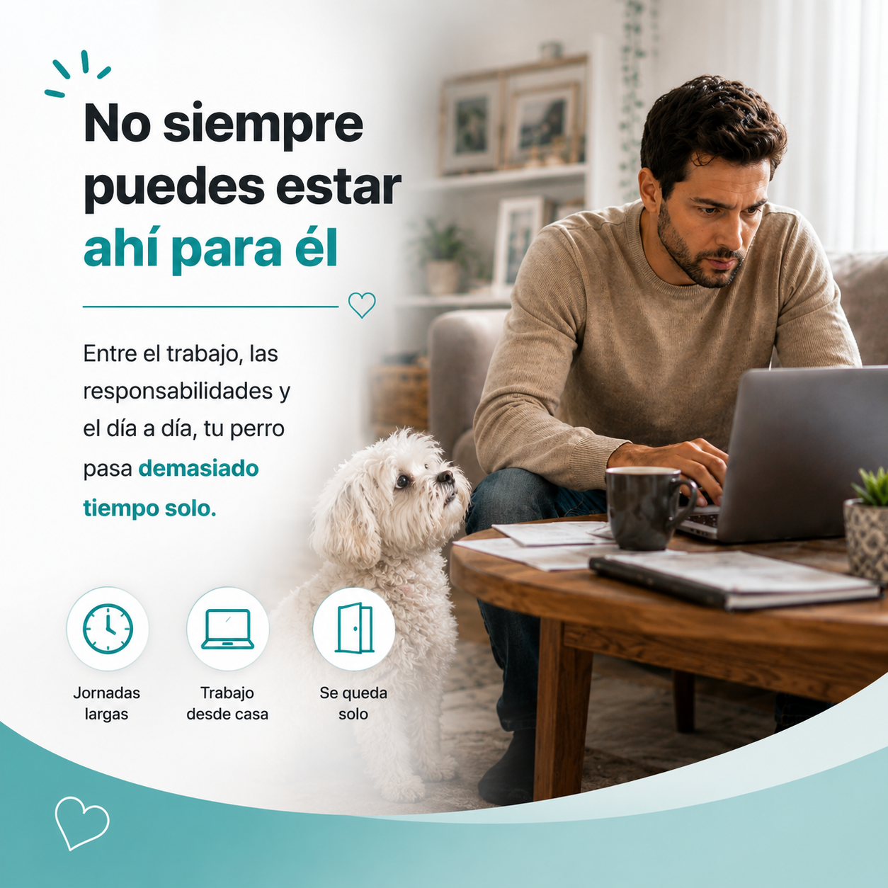 El juguete interactivo que tu perro necesita