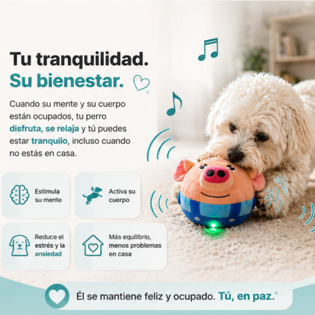 El juguete interactivo que tu perro necesita